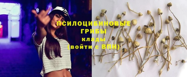 трава Пестово