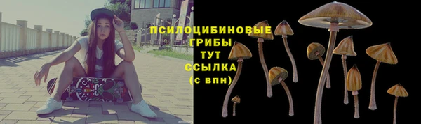 прущие крисы Алексеевка